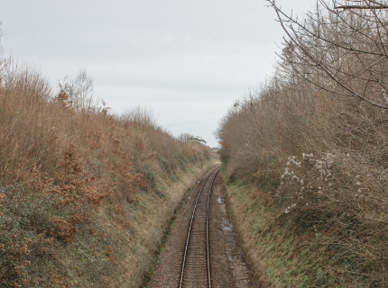 Embankments and vegetation